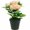 Floristik24 Decoratieve roos in pot, romantische zijden bloemen, roze pioenroos