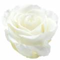 Floristik24 Infinity rozen groot Ø5,5-6cm wit 6st
