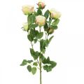 Floristik24 Rozentak, zijden rozen, kunsttak roze, crème L66cm Ø3/5cm