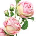 Floristik24 Rozentak roze 100cm