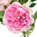 Floristik24 Rozentak zijden rozen kunsttakrozen roze crème 79cm