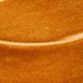 Fluwelen lint, decoratief lint voor knutselen en verpakken, 20 mm, 10 m | Floristik24.nl