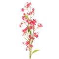 Floristik24 Kunstmatige bloeiende tak Oncidium orchidee decoratie 112cm 3 stuks