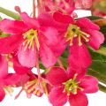 Kunstmatige bloeiende tak Oncidium orchidee decoratie 112cm 3 stuks | Floristik24.nl