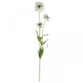 Floristik24 Scabious kunstbloem witte tuin bloem H64cm bos met 3st