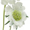 Floristik24 Scabious kunstbloem witte tuin bloem H64cm bos met 3st