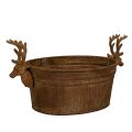 Floristik24 Decoratieve schaal met rendierkop, ovaal, roestbruin, rustiek, 41 cm