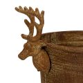 Decoratieve schaal met