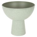 Floristik24 Schaal met standaard voor planten, decoratieve schaal, 25 cm