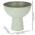 Schaal met standaard voor planten, decoratieve schaal, 25 cm | Floristik24.nl