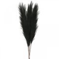 Floristik24 Feather Grass Zwart Chinees Riet Kunstmatig Droog Gras 100cm 3st