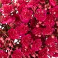 Kunstbloemenkrans, decoratie met gipskruid, 30 cm | Floristik24.nl