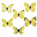 Floristik24 Vlinder geel op de clip 11cm 6st