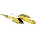 Floristik24 Vlinder geel op de clip 11cm 6st