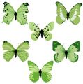 Floristik24 Vlinder groen op clip 10cm - 11cm 6st