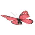 Floristik24 Vlinder roze op clip 11cm 6st