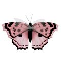 Floristik24 Vlinder roze 20cm op draad 2st