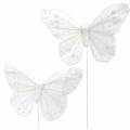 Floristik24 Veer vlinder op draad wit met glitter 10cm 12st