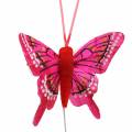 Floristik24 Decoratieve vlinder met draad 5cm 24st