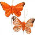 Floristik24 Decoratieve vlinders, bloemstekkers, veervlinders op draad geel, oranje 4×6.5cm 12st