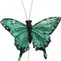 Floristik24 Decoratieve vlinders, lentedecoratie, veren vlinders, plantpluggen groen, bruin 9.5×12.5cm 12st