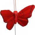 Floristik24 Lente, veren vlinders met mica, deco vlinder rood, oranje, roze, violet 4×6.5cm 24st