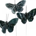 Floristik24 Veervlinders zwart en wit, vlinders op draad, kunstmotten 5.5×9cm 12st