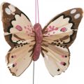 Floristik24 Veervlinders, decoratieve vlinders op stok, bloemstekkers roze, oranje, violet, bruin, blauw, beige 6×8cm 12st