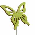 Floristik24 Bloemknoppen vlinder hout 7x5.5cm 12st assorti