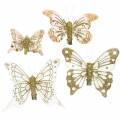 Floristik24 Veer vlinder op clip goud glitter 10st