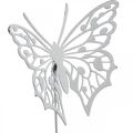 Floristik24 Bloemsteker vlinder, tuindecoratie metaal, plantplug shabby chic wit, zilver L51cm 3st