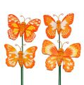 Floristik24 Decoratieve plug vlinder oranje 6,5 cm 24 stks