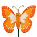 Floristik24 Decoratieve plug vlinder oranje 6,5 cm 24 stks