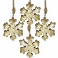 Floristik24 Sneeuwvlok mangohout naturel, gouden sneeuwkristal Ø10cm 6st