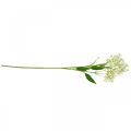 Floristik24 Kunstzijde blast, bloemdecoratie, zijden bloem, decoratie bloem wit L72cm