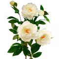 Floristik24 Zijden bloem pioen kunst crème wit 135cm