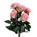 Floristik24 Zijden bloemen roos Ø7cm L37cm oudroze 6st