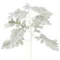 Floristik24 Kunstmatige Senecio-tak, zilverblad, fijn bewerkt, 45 cm, 3 stuks