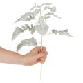 Kunstmatige Senecio-tak, zilverblad, fijn bewerkt, 45 cm, 3 stuks | Floristik24.nl