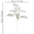 Kunstmatige Senecio-tak, zilverblad, fijn bewerkt, 45 cm, 3 stuks | Floristik24.nl
