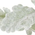 Kunstmatige Senecio-tak, zilverblad, fijn bewerkt, 45 cm, 3 stuks | Floristik24.nl