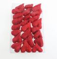 Floristik24 Sisal hartjes 5-6 cm rood 24st