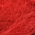 Floristik24 Sisal rood bordeaux natuurlijke vezel 300g