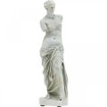 Floristik24 Venusbeeld decoratieve sculptuur H29cm grijsbruin sierfiguur tuin