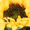 Kunstmatige zonnebloem met realistische bladeren en bloesems, 58 cm, 3 stuks | Floristik24.nl