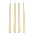 Floristik24 Conische kaarsen, stokkaarsen, wit ivoor, 250/23 mm, 12 stuks