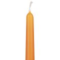Floristik24 Conische kaarsen Wenzel kaarsen oranje 250/23mm 12st