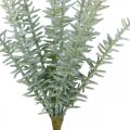 Floristik24 Sprengerie Sier Asperge Kunstplanten Groen 23cm 4st