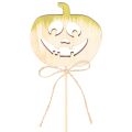 Decoratieve pompoen met