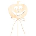 Decoratieve pompoen met